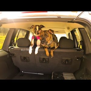 Meet your Posher, Vanessa